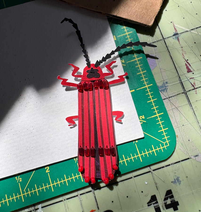 Western Red Net Winged Beetle They eat fungi and decaying wood, and their bright red color is so effective at warning predators that other animals have evolved to mimic their colors. Look for them in decaying logs in second-growth forests!